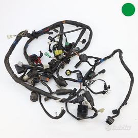 Impianto elettrico SUZUKI GSX R 1000