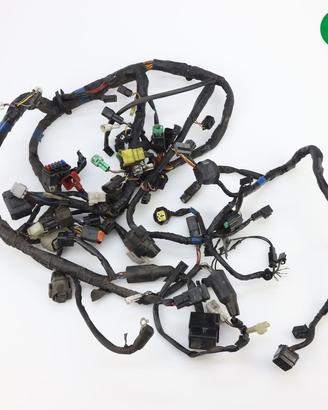 Impianto elettrico SUZUKI GSX R 1000