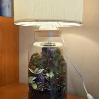lampada terrario 