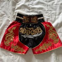 🇹🇭 Thaiboxing Shorts