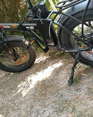 bicicletta elettrica
