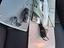 Immagine 29