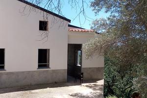 Rustico a cetraro