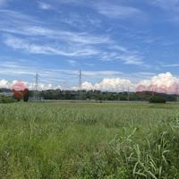 Terreno Agricolo Collesalvetti [352/BVCG]