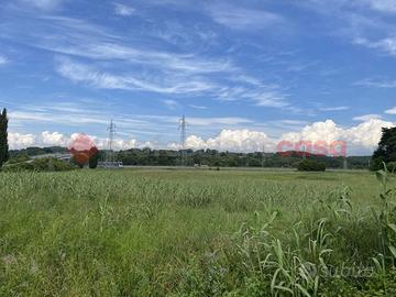 Terreno Agricolo Collesalvetti [352/BVCG]