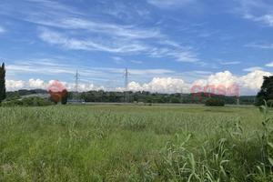 Terreno Agricolo Collesalvetti [352/BVCG]