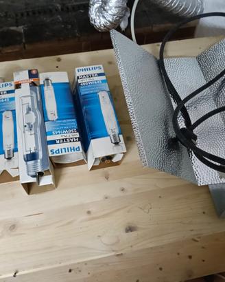 Growbox idroponica varie cose