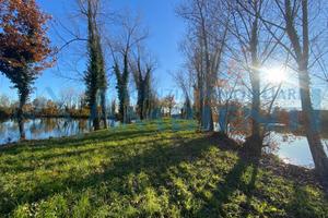 Terreno Agricolo - Zero Branco