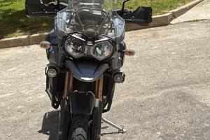Triumph Tiger explorer