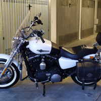 Harley davidson sportster xl1200cb custom limited