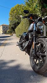 Harley davidson 883 iron