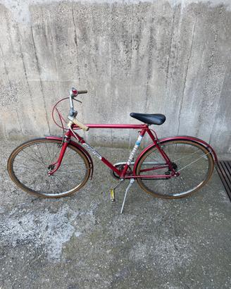 Bicicletta da ragazzo sportiva