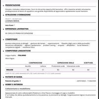 Driver/autista patente B
