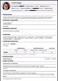 Driver/autista patente B