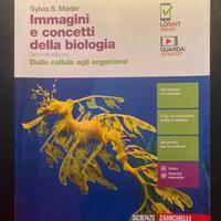 Libro Immagini e concetti della biologia