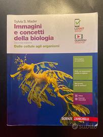 Libro Immagini e concetti della biologia