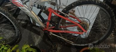 bicicletta 