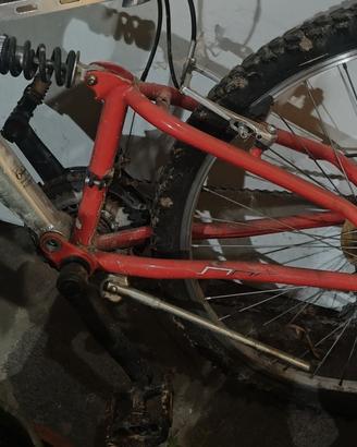 bicicletta 
