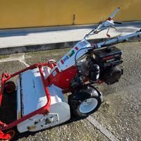 trinciasarmenti orec hr662