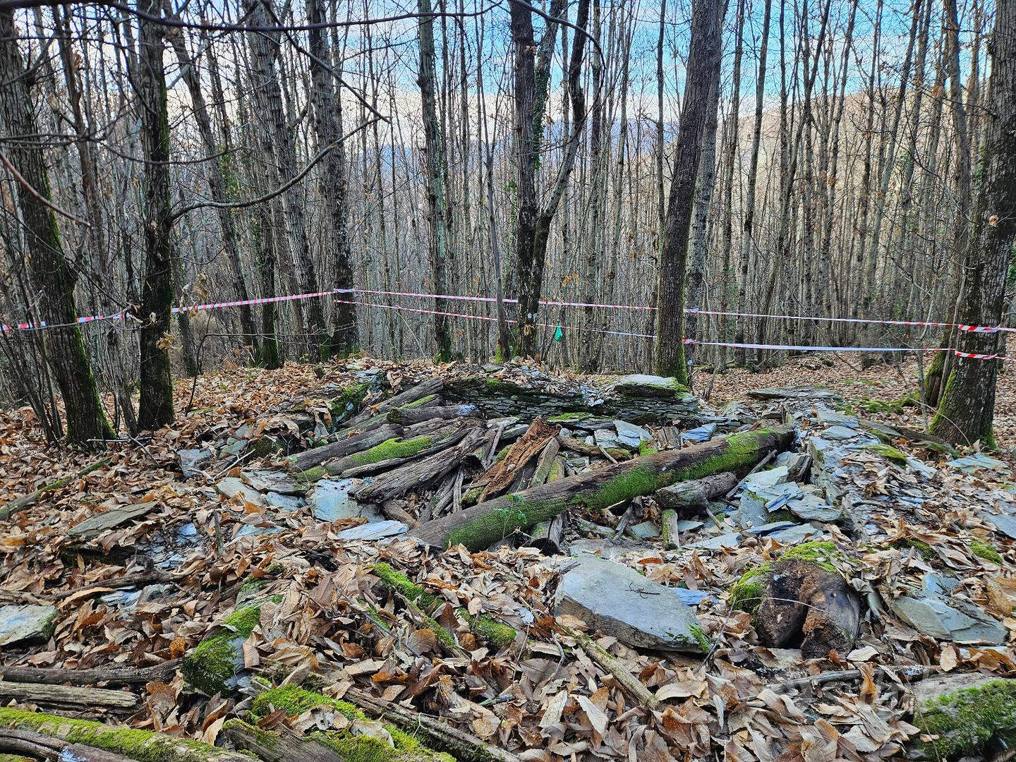 Bosco Monte San Giacomo (Tolceto) - Vista 2