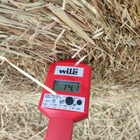 Foraggio avena loietto