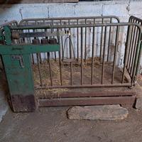 bilancia per animali