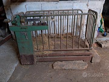 bilancia per animali