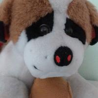 Peluche