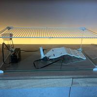 Teca per Tartarughe d’acqua