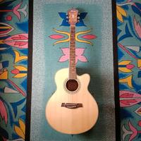 Chitarra Ibanez AEG40SE