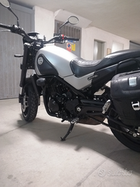 Benelli leoncino