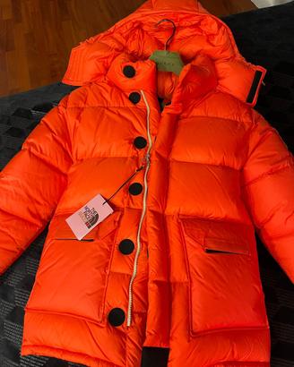 Piumino Gucci per North Face serie limitata raro