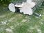 Immagine 1