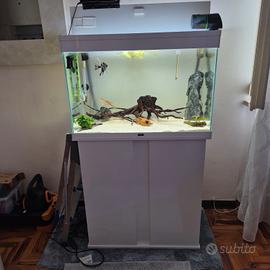 Acquario ciano 150 l
