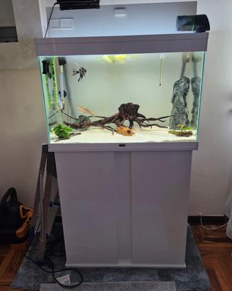 Acquario ciano 150 l