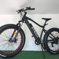 Fat bike vesuvio ztech 250w