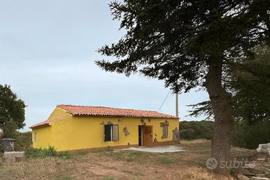 Stazzo subito abitabile con terreno