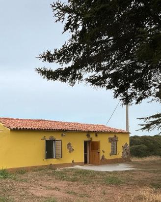 Stazzo subito abitabile con terreno