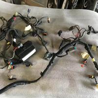 Ricambi can am renegade 1000