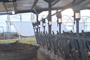 Autoalimentatore a calate per bovini