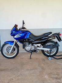 Suzuki Freewind xf 650