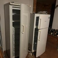 Frigo e congelatore
