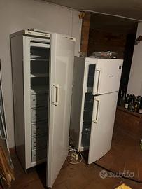 Frigo e congelatore