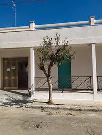 Lido conchiglie piano terra 50m dalla spiaggia