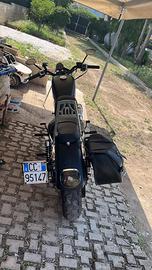 Sportster 1200 roadster