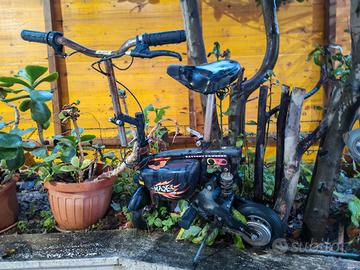 bici elettrica Sportee come da foto