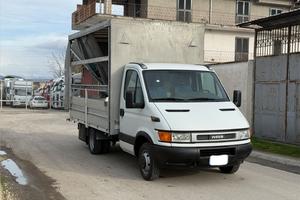 Daily 50c13 centinato mt 3.87 1999