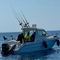 Sessa Dorado 22 suzuki 140 cv 2024 