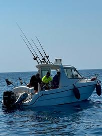 Sessa Dorado 22 suzuki 140 cv 2024 