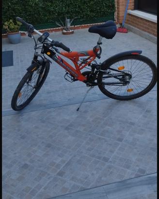 Bici uomo